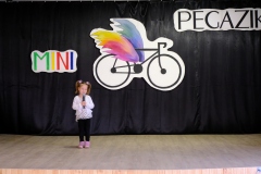 Mini-Pegazik-2024-13