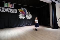 Mini-Pegazik-2025-005