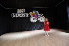 Mini-Pegazik-2025-006