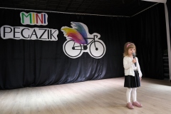 Mini-Pegazik-2025-007