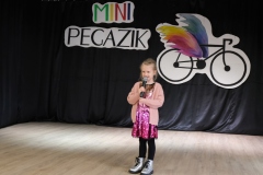 Mini-Pegazik-2025-009