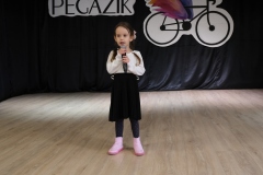 Mini-Pegazik-2025-010