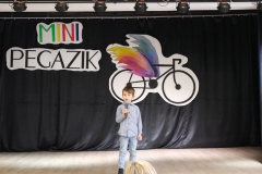 Mini-Pegazik-2025-011