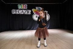 Mini-Pegazik-2025-016