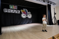 Mini-Pegazik-2025-018