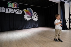 Mini-Pegazik-2025-019