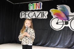 Mini-Pegazik-2025-026