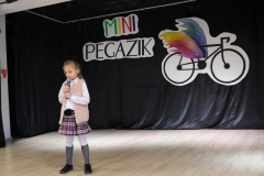 Mini-Pegazik-2025-027