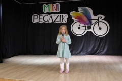 Mini-Pegazik-2025-030