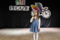 Mini-Pegazik-2025-032