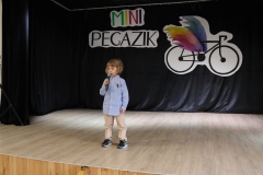 Mini-Pegazik-2025-042
