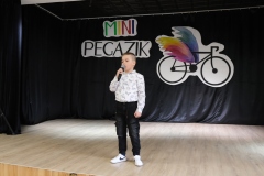 Mini-Pegazik-2025-043