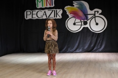 Mini-Pegazik-2025-044