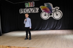 Mini-Pegazik-2025-045