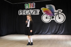 Mini-Pegazik-2025-047