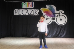Mini-Pegazik-2025-048