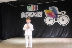 Mini-Pegazik-2025-050