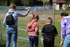 IMG_2376 IMG_2376