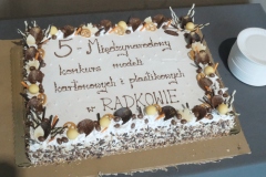 V-Miedzynarodowy-Konkurs-Modeli-Kartonowych-i-Plastikowych-Radkow-2025-105