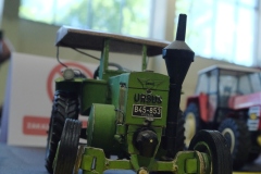 V-Miedzynarodowy-Konkurs-Modeli-Kartonowych-i-Plastikowych-Radkow-2025-152