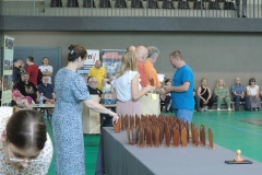 V-Miedzynarodowy-Konkurs-Modeli-Kartonowych-i-Plastikowych-Radkow-2025-442
